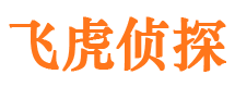 铜官山侦探公司